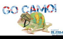 Historic military charity encourages you to Go Camo!