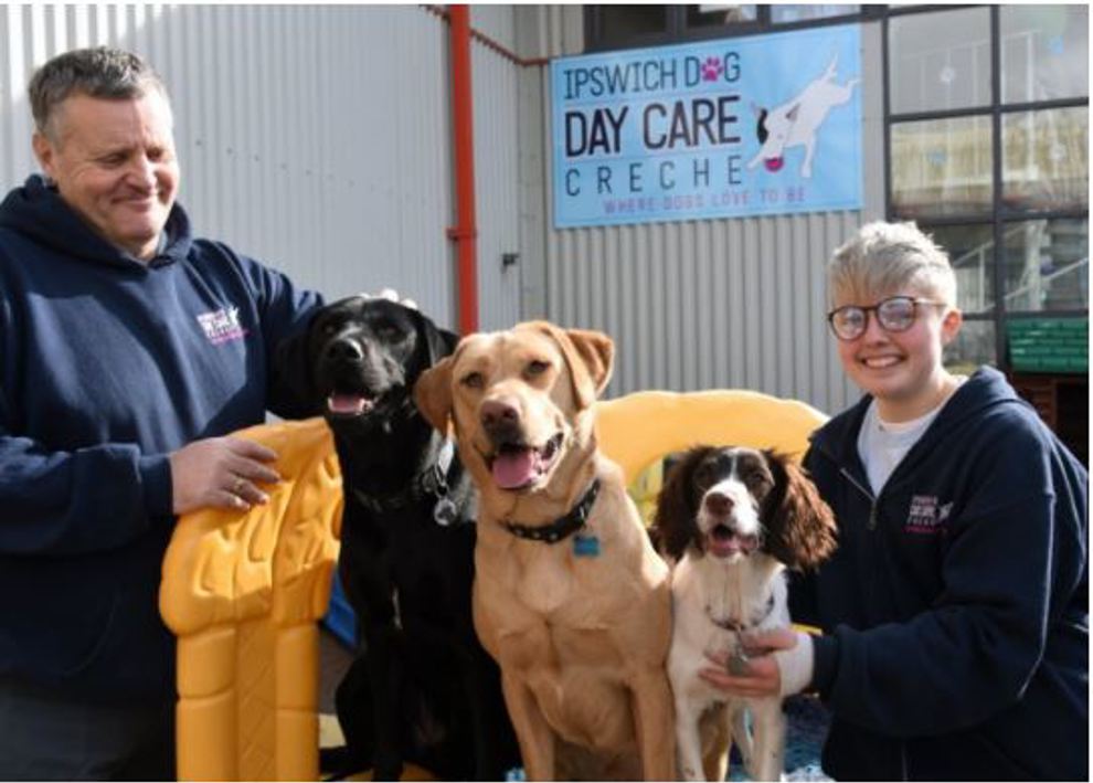 ipswich dog day care.JPG