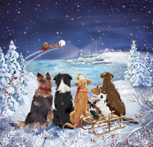 Stargazing Dogs Christmas Cards