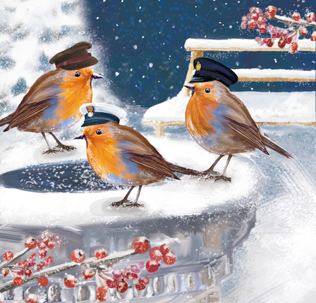 Winter Robins Christmas Cards